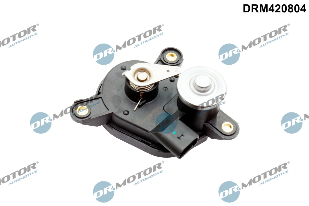 Control, swirl flaps (induction pipe)